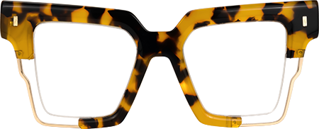 Aidza Square Tortoise Glasses