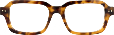 Narges - Rectangle Tortoise Eyeglasses