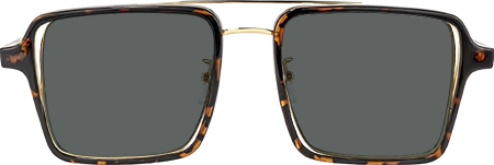 Nellie Mixed Tortoise-Gold Frame Sunglasses | ZEELOOL