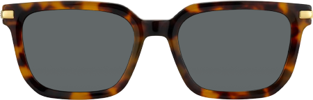 Denbeigh - Rectangle Tortoise Sunglasses