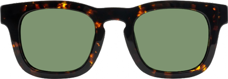 Brovia - Square Tortoise Sunglasses