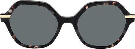Lux - Geometric Tortoise Sunglasses