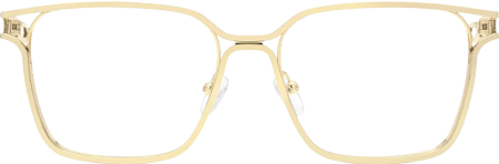 Frenzy - Rectangle Gold Eyeglasses