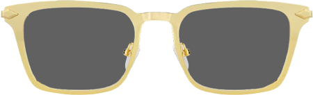 Chaney Rectangle Gold Prescription Sunglasses | ZEELOOL