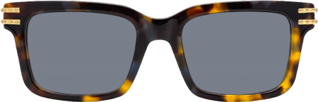 Anansi - Tortoise Rectangle Sunglasses