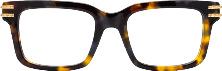 Anansi - Rectangle Tortoise Eyeglasses
