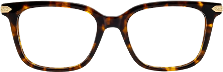 Thomas Tortoise Frame Glasses with Rectangle Frame Online | ZEELOOL