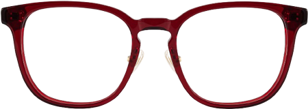 Hailey Red Frame Glasses with Square Frame Online | ZEELOOL