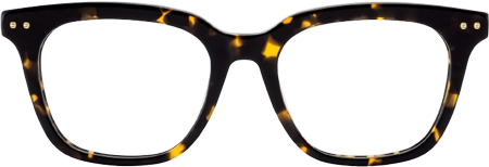 Angela Tortoise Rectangle Glasses | Retro Campus Essential